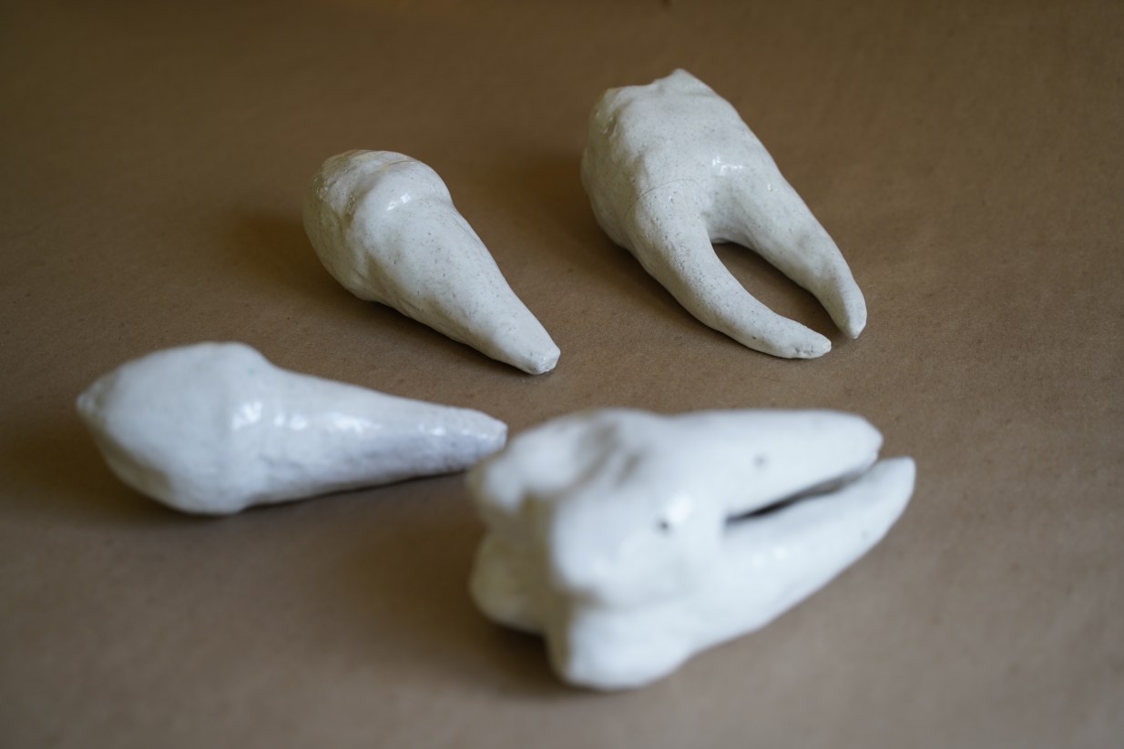 Ceramic Teeth