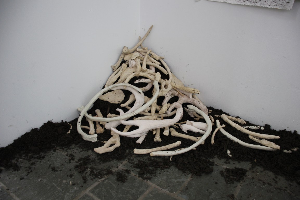 Bones