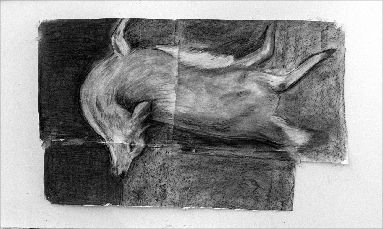 Drawing