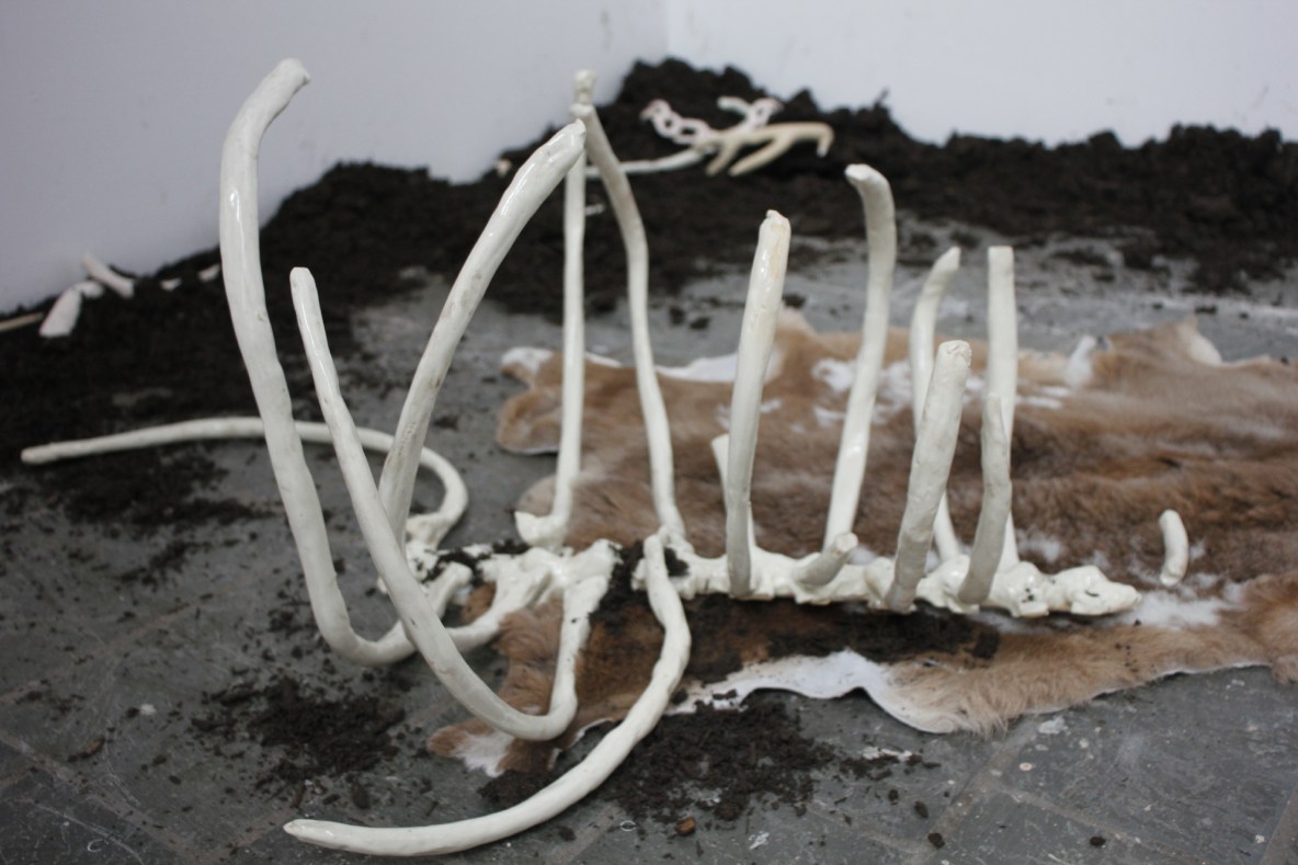 Rib Cage